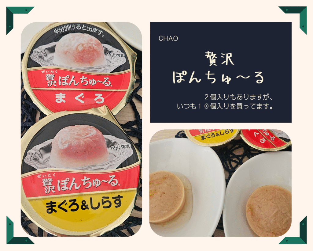 社長のグルメ