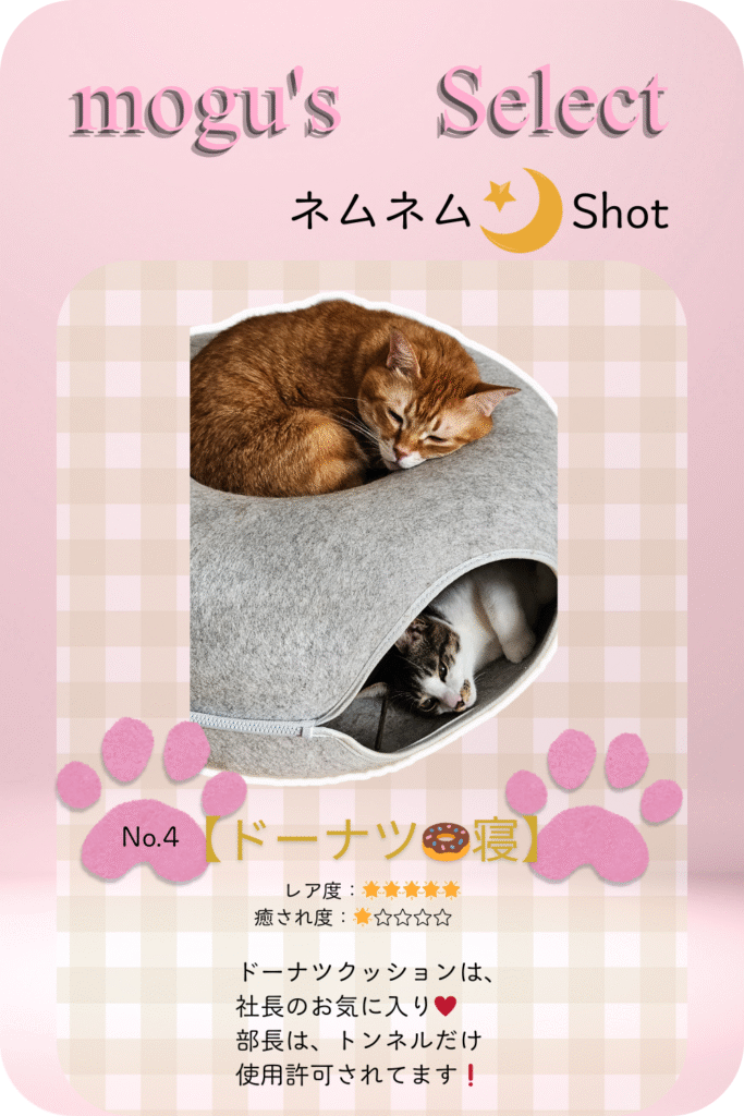 猫の寝顔④